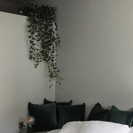 Bed and Breakfast Pieux Montreuil (Pas-de-Calais)